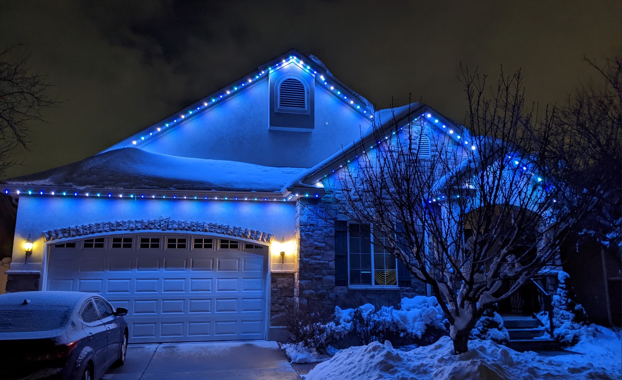 Backyard String Lights