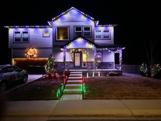 Warm White Christmas Lights