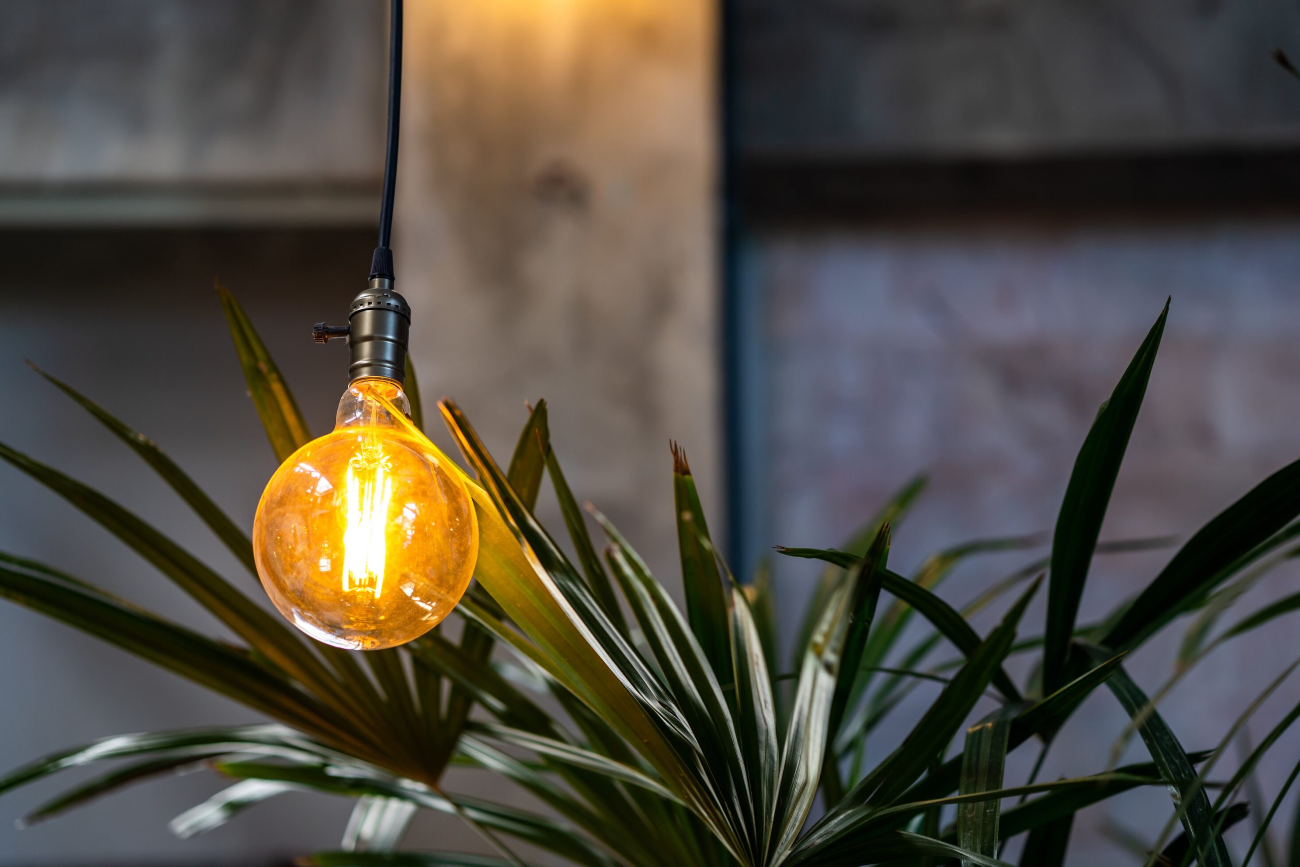 Outdoor Lighting Ideas for the Front of the House